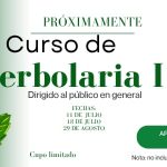 Cursos de Verano en el Centro Comunitario Luis Donaldo Colosio