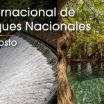 Descubre la riqueza natural que guardan los parques nacionales michoacanos: Sectur