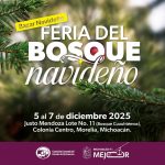 Llega la Feria del Bosque Navideño 2025! Más de 100 productos locales te esperan