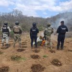 Marina en coordinación interinstitucional erradica plantío con aproximadamente 7,500 plantas de marihuana, en el estado de Michoacán