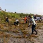 ACCIÓN POR EL MEDIO AMBIENTE: PUERTO LÁZARO CÁRDENAS REALIZA LA PRIMERA JORNADA DE LIMPIEZA COSTERA DE 2026