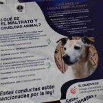 Fortalecen Acciones Contra el Maltrato Animal en Lázaro Cárdenas