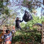 Campaña de Limpieza y Descacharrización Recorre el Fraccionamiento Las Torres