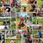 Exitosa participación de Lázaro Cárdenas en Jornada Nacional de Reforestación “¡Todo México a reforestar!”